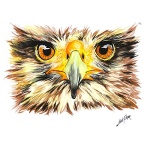 U.S. Art Supply 36 Color Watercolor Artist Paint Set with Plastic Palette Lid Case and Paintbrush - Watersoluable Cakes - Image 2